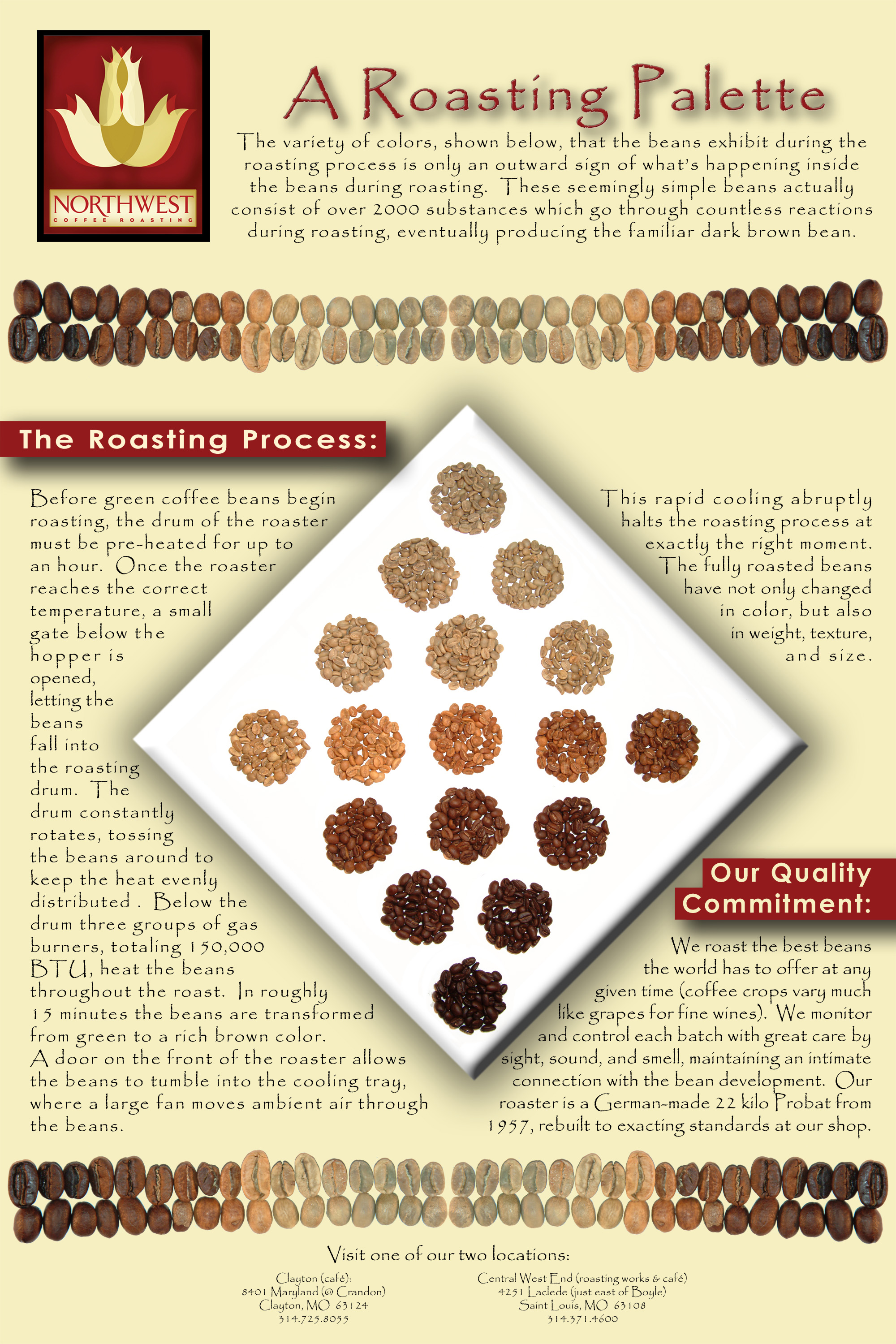 Cupping Chart Pdf