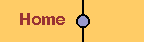 Home Button